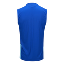 Regata Cruzeiro 26/27 Treino Azul - Adidas Versão Torcedor