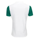 Camisa Palmeiras 25/26 Away Torcedor