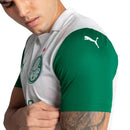 Camisa Palmeiras 25/26 Away Torcedor