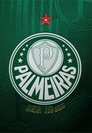 Camisa Palmeiras Home 24/25 - Verde e branca
